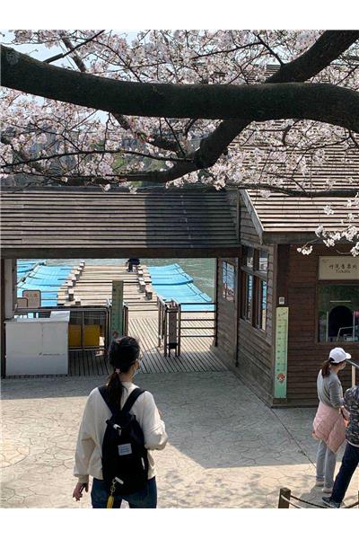 樱花下的老婆，爱你(ɔˆ ³(ˆ⌣ˆc)